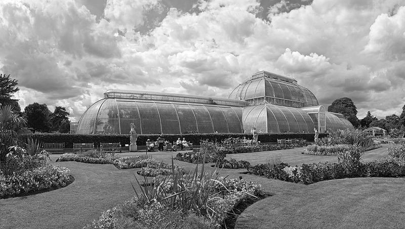 Das Tropenhaus in den Kew Gardens in London